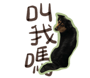 522178761