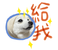 522178764