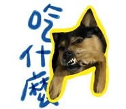522178765