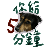 522178768