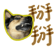 522178770