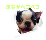 522237178