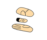 522238813