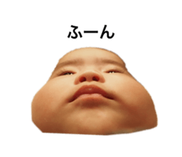 522294868