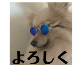 522315671