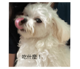 522324931