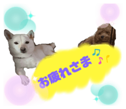 522326877