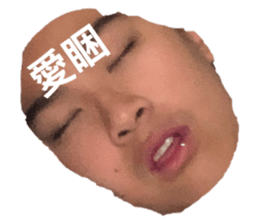 522337639
