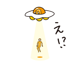 52238241
