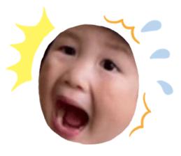 522434738
