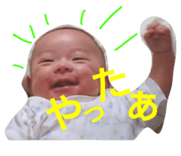 52244753