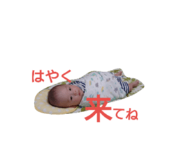 52244762