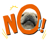 522467654