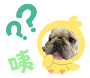 522467657