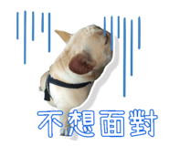 522467663