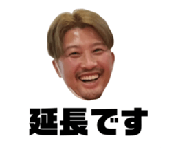 522491993