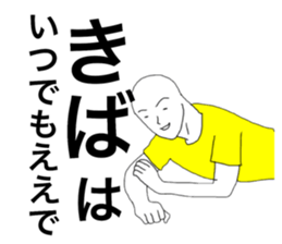 52253058