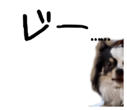 522542483