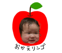 52255020