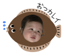 52255021