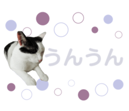 522593715