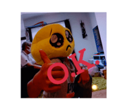 522597835