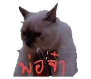 522600034