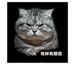 522628295