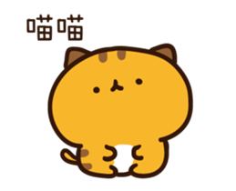 522665645