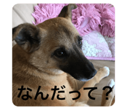 522690680