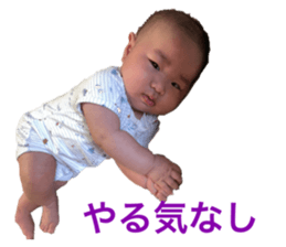 522702583