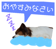 522704950