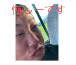 522713308
