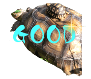 522716373