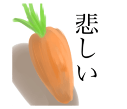 522717231