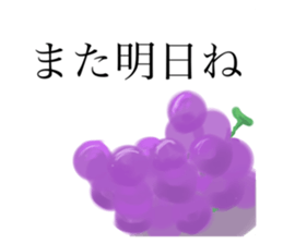 522717237