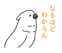 522734442
