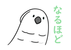 522734446