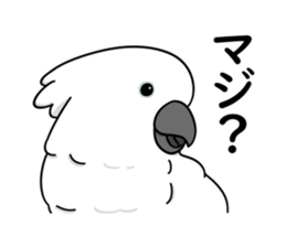 522734457