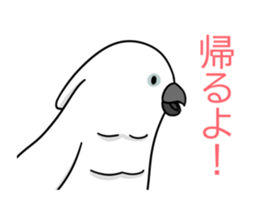 522734464