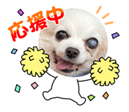 522746763