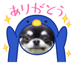 522747010