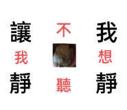 522761084