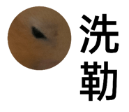 522761085