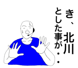 52276531