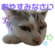 522800470