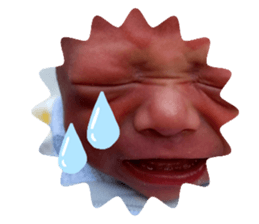 522801828