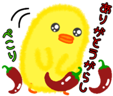 522812997