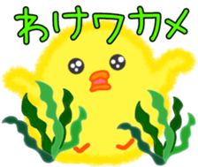 522813010