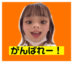 522813938
